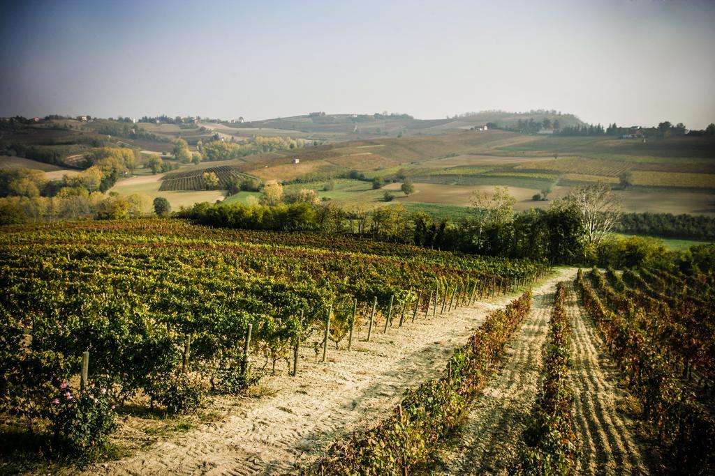 Naturalmente Wine Resort Agliano Terme Exterior foto